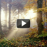 7. indian summer - 3:37