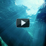 11. ocean dreams - 4:19