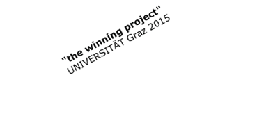 Uni-Graz winner team